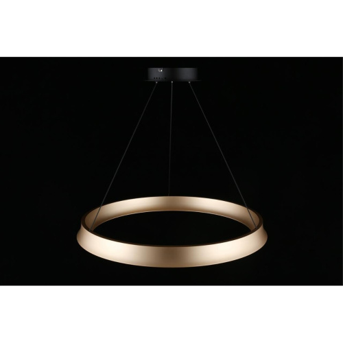 Люстра подвесная APL.787.03.50 фото 10