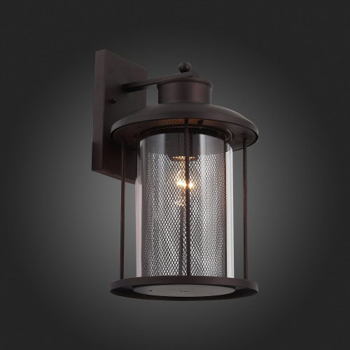 SL080.401.01 Светильник уличный настенный ST-Luce Темный кофе/Прозрачный, Темный кофе E27 1*60W LASTERO фото 3