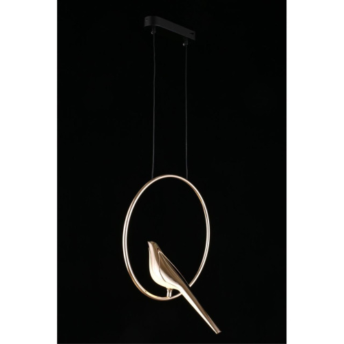 Светильник подвесной APL.822.06.10 фото 12