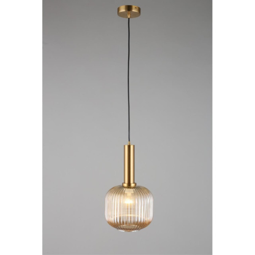 Светильник подвесной OML-99406-01 фото 4