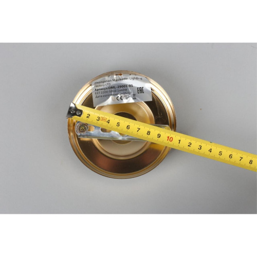 Светильник настенный (Бра) OML-29001-01 фото 2 Светильник настенный (Бра) OML-29001-01 фото 2