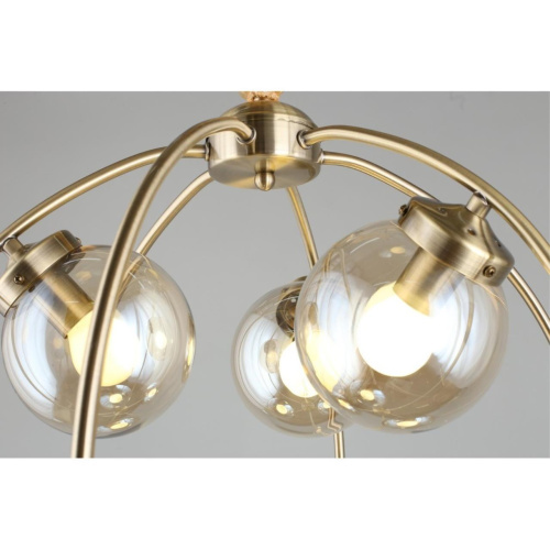 Люстра подвесная OML-94513-06 фото 9