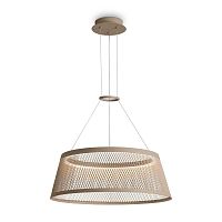 Подвесной светильник Freya FR5535PL-L14B