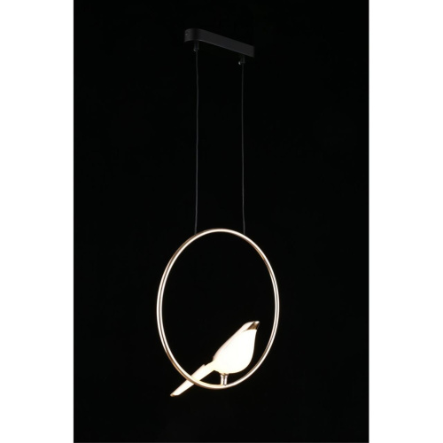 Светильник подвесной APL.822.06.10 фото 10