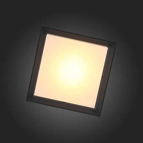 SL077.402.01 Светильник уличный потолочный ST-Luce Черный/Белый LED 1*12W 3000K CUBISTA фото 2