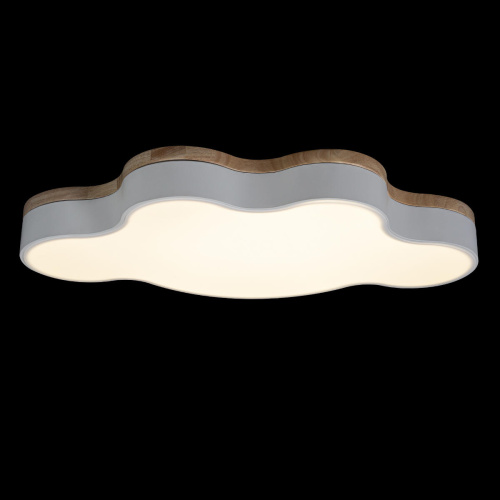 10005/36 White Потолочный светильник LOFT IT Axel фото 3 10005/36 White Потолочный светильник LOFT IT Axel фото 3