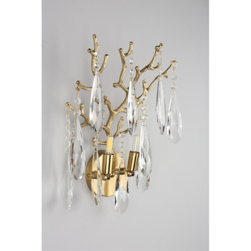 Светильник настенный (Бра) OML-52901-02 фото 7