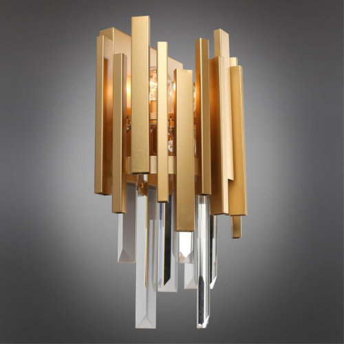 Светильник настенный (Бра) OML-72801-02 фото 3