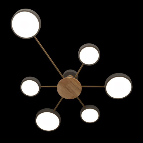 10316/6 Grey Потолочный светильник LOFT IT Sunrise фото 4