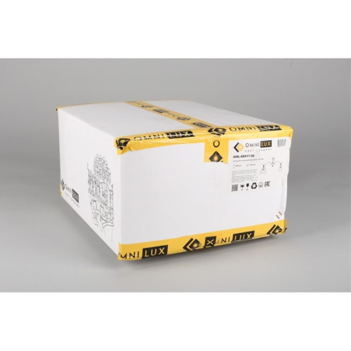 Люстра потолочная OML-88417-06 фото 4