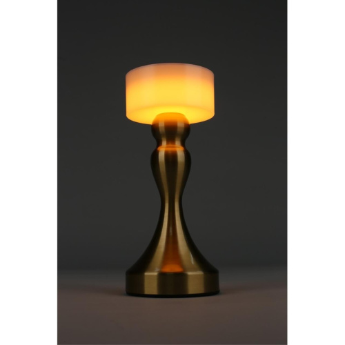 Настольная лампа OML-40304-01 фото 10 Настольная лампа OML-40304-01 фото 10