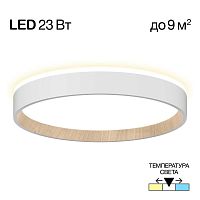 Потолочный светодиодный светильник Citilux Etalon CL750240