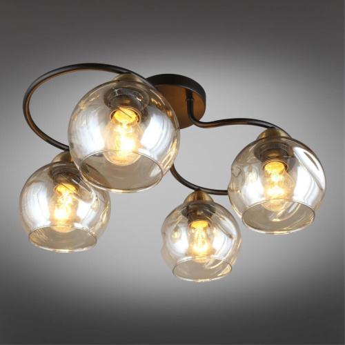 Люстра потолочная OML-95007-04 фото 3