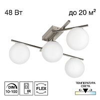 Потолочная светодиодная люстра Citilux Dorsy CL223141