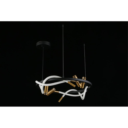 Люстра подвесная APL.066.03.45 фото 13