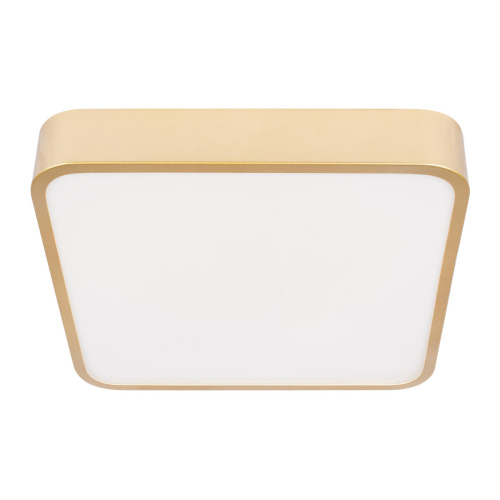 10228/C Потолочный светильник LOFT IT Flims фото 5 10228/C Потолочный светильник LOFT IT Flims фото 5