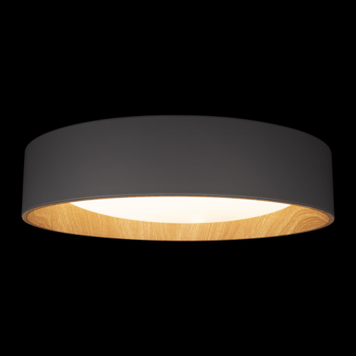 10202 Grey Потолочный светильник LOFT IT Coin фото 5 10202 Grey Потолочный светильник LOFT IT Coin фото 5