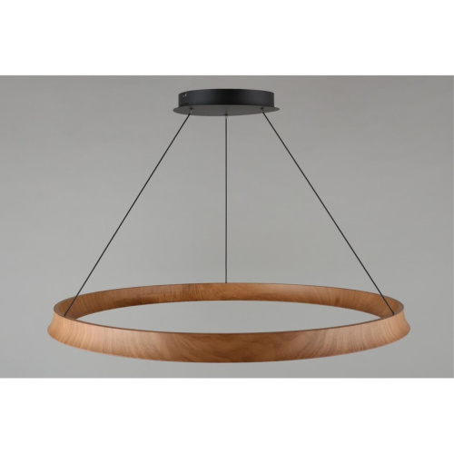 Люстра подвесная APL.787.03.75 фото 16