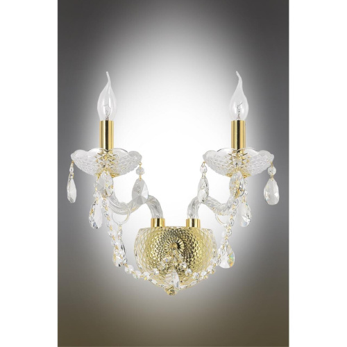 Светильник настенный (Бра) OML-70001-02 фото 3