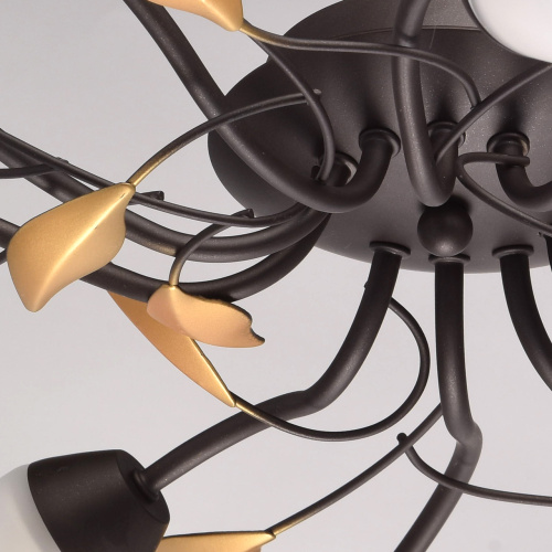 Люстра потолочная MW-Light Восторг 242015410 фото 11