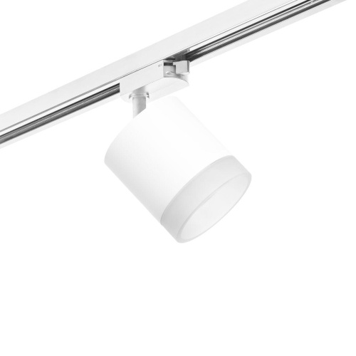 Комплект с трековым светильником Lightstar Rullo (213486+592086+202480) R1T348680