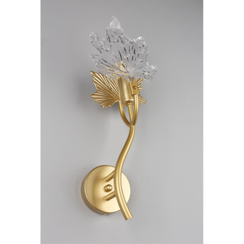 Светильник настенный (Бра) OML-52701-01 фото 6