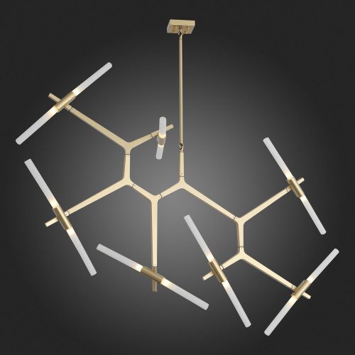 SL947.202.14 Люстра потолочная ST-Luce Золотистый/Белый G9 14*5W LACONICITA фото 3
