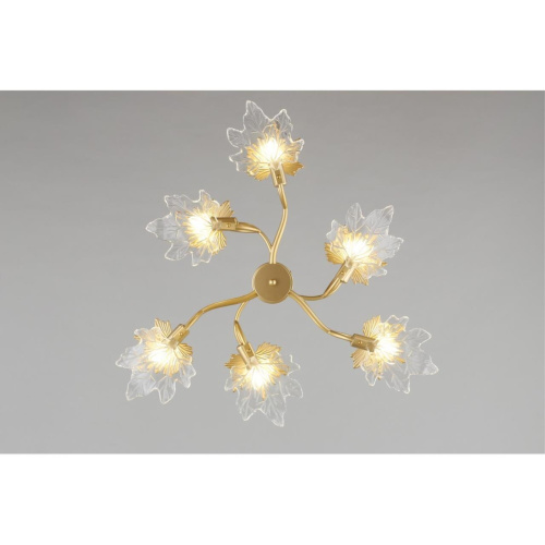 Люстра потолочная OML-52707-06 фото 6