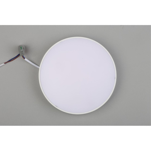 Светильник настенно-потолочный APL.0113.09.24 фото 8