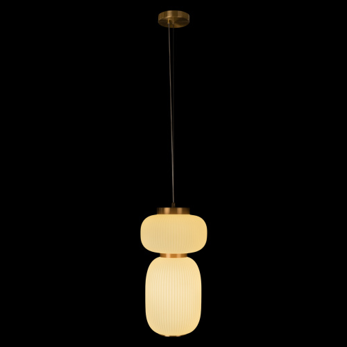 10422/B Подвесной светильник LOFT IT Duff фото 3