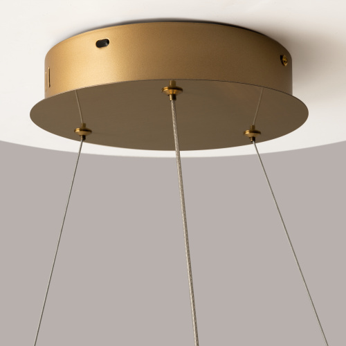 Подвесной светильник Maytoni P097PL-L48BS3K фото 8