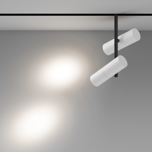 Трековый светильник Technical TR005-2-2X12W4K-BW фото 7