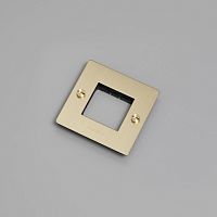 Рамка 1G brass logo