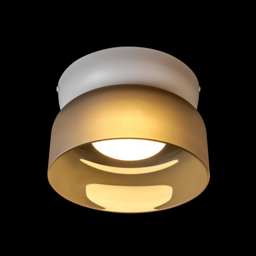 10466 Smoke matte Потолочный светильник LOFT IT Totem фото 3