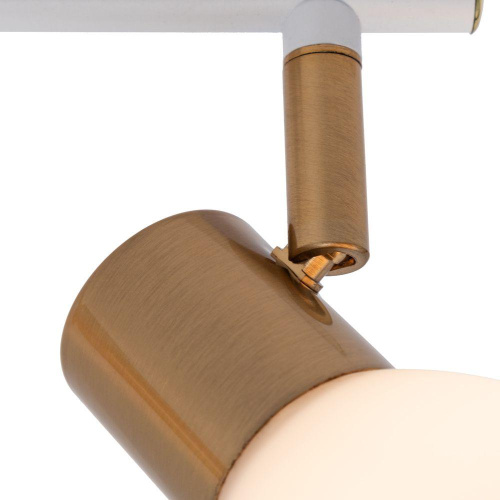 Спот Arte Lamp Falena A3117PL-2WH фото 3 Спот Arte Lamp Falena A3117PL-2WH фото 3