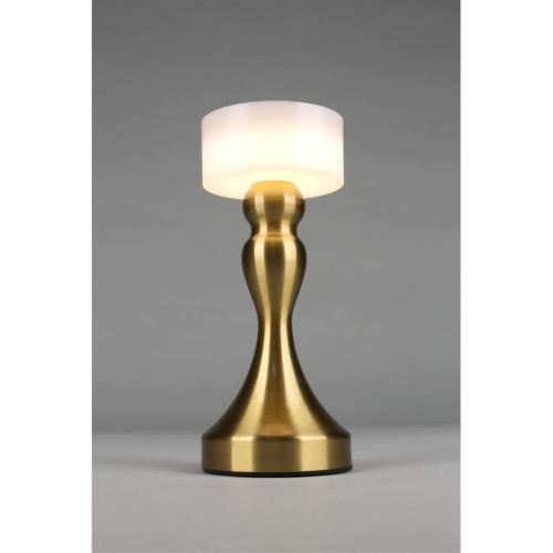 Настольная лампа OML-40304-01 фото 8 Настольная лампа OML-40304-01 фото 8