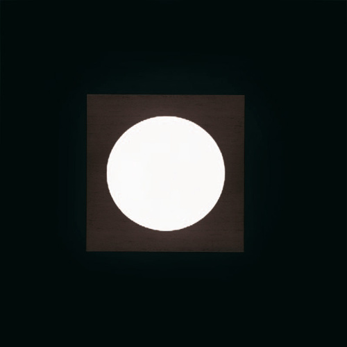 Настенный/Потолочный светильник GIO 3 P-PL 60 Wenge фото 3