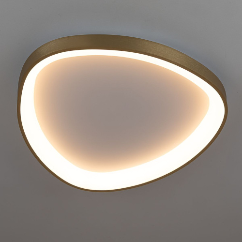 Потолочный светодиодный светильник Citilux Genka Smart CL756A142 фото 8