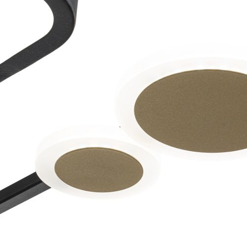 Потолочный светильник Escada 10225/SG LED*75W Black/Gold фото 5