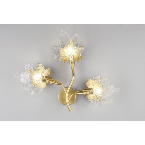 Светильник настенный (Бра) OML-52701-03 фото 7