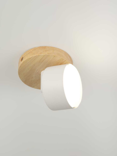 Спот Rivoli Vivian 7078-701 Б0069927 фото 10