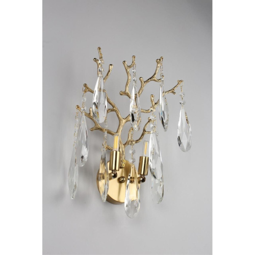 Светильник настенный (Бра) OML-52901-02 фото 8