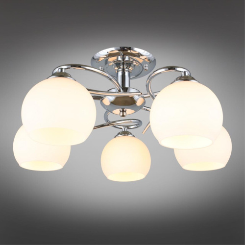 Люстра потолочная OML-25107-05 фото 3