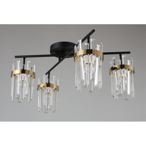 Люстра потолочная OML-67707-04 фото 4