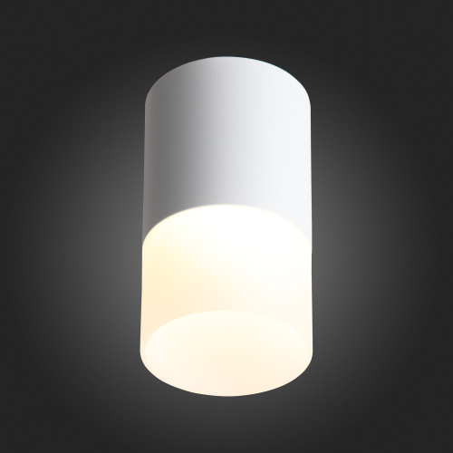 ST100.502.10 Светильник потолочный Белый LED 1*10W 3000K 780Lm Ra>80 120° D78xH135 170-240V Накладные светильники фото 6