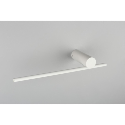 Светильник настенный (Бра) OML-10111-08 фото 4