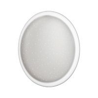 Настенно-потолочный светильник Sonex JOLLY 7774/ELN