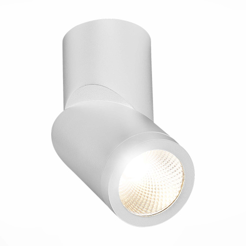 ST650.542.10 Светильник потолочный Белый LED 1*10W 4000K 800Lm Ra>90 38° IP44 D62xH151 165-265V Накладные светильники фото 5