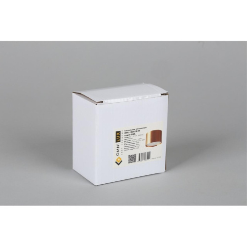 Светильник встраиваемый-накладной OML-100929-06 фото 6 Светильник встраиваемый-накладной OML-100929-06 фото 6