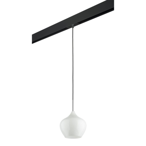 Комплект с трековым светильником Lightstar Pentola (803040+595007) PRO803040